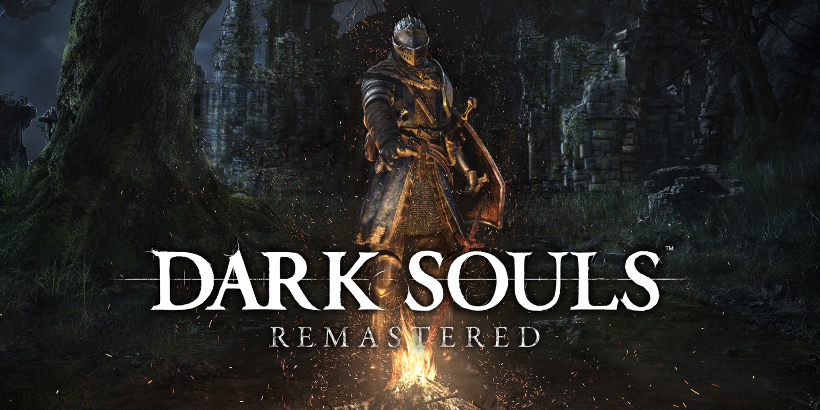 Dark Souls Remastered 1582018 1