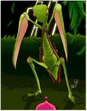 Mantis card