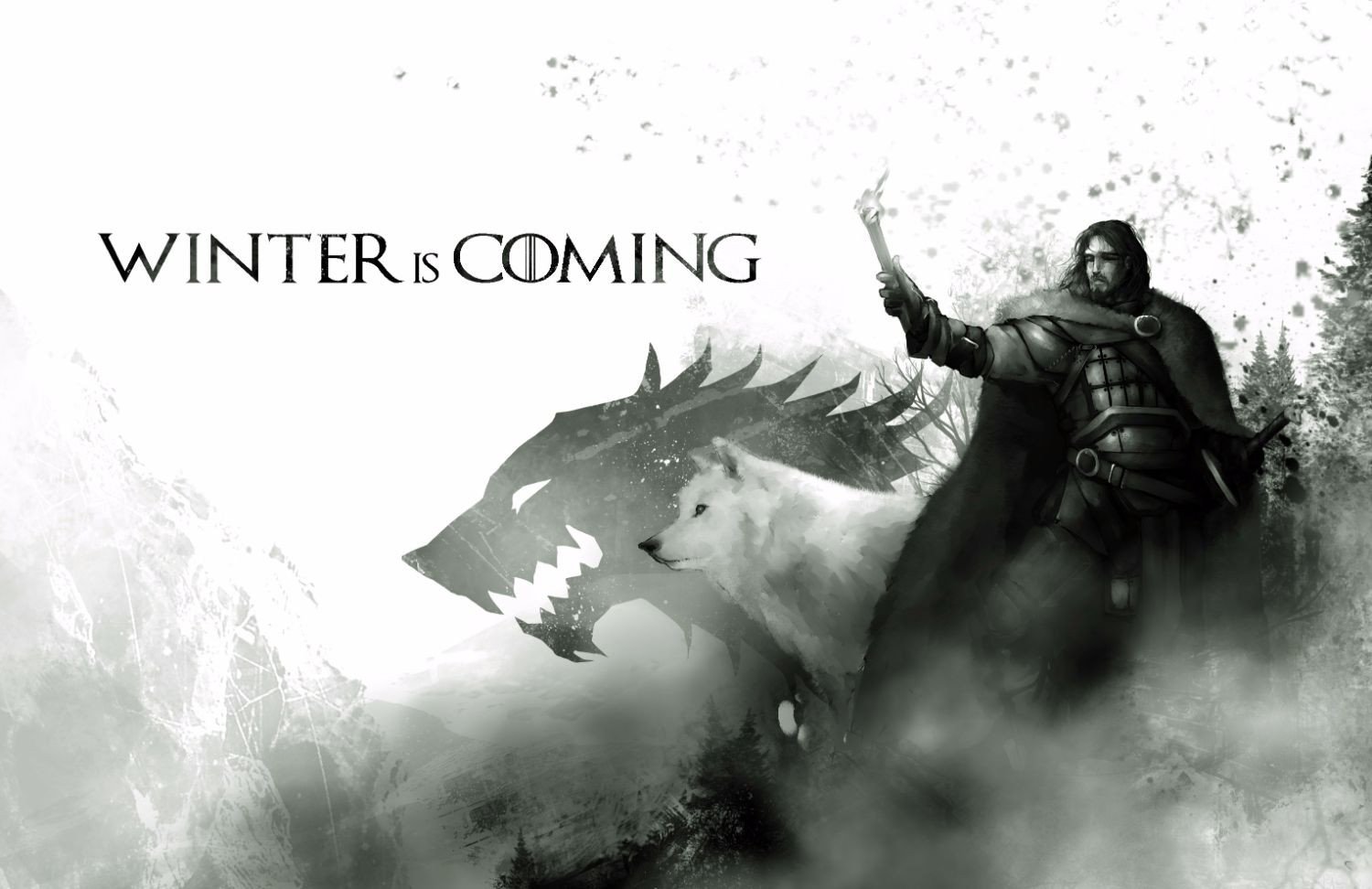 Game of Thrones Winter is Coming 2012019 1