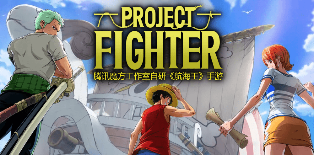 One Piece Project Fighter 1752021