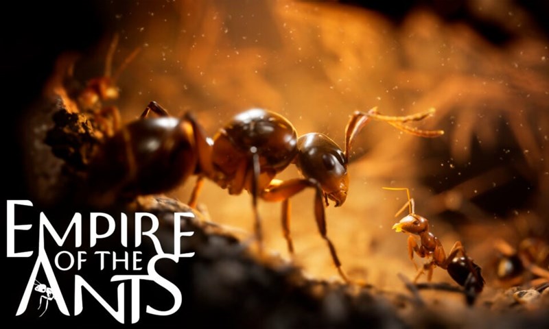 กราฟิกอย่างว้าว Empire of the Ants อวดทีเซอร์และสกรีนช็อตเซตใหม่