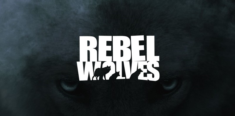 rebel wolves 16012024 1