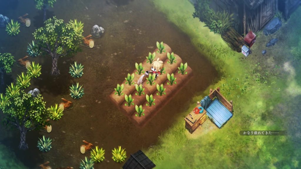 Hono Gurashi no Niwa 2292025 2