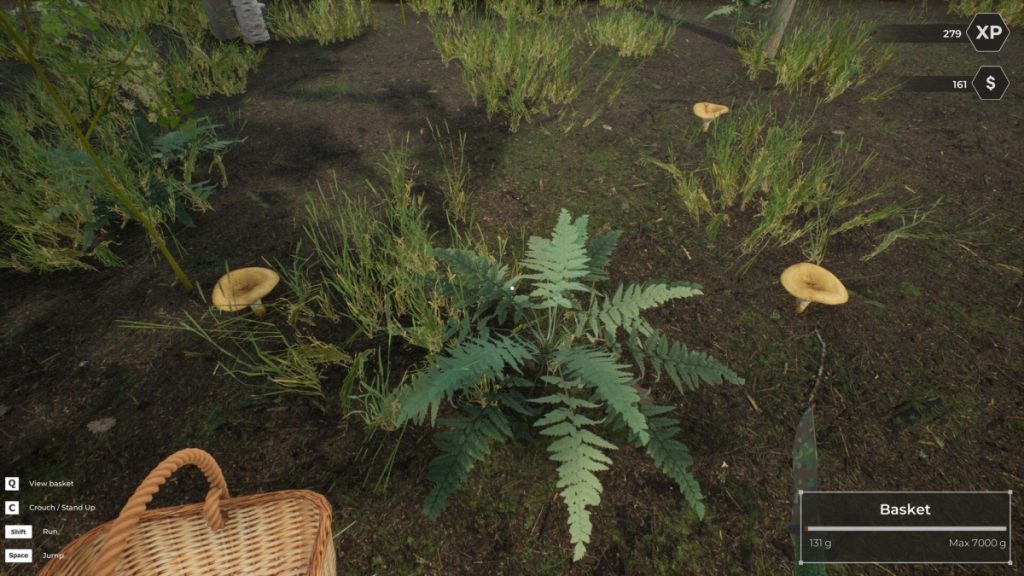 หาเห็ดประเภทต่าง ๆ ในเกม Mushroom Hunter World