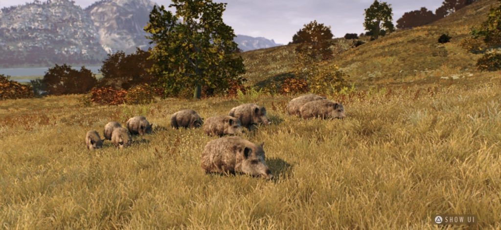 สัตว์ในเกม Way of the Hunter – Wild Europe