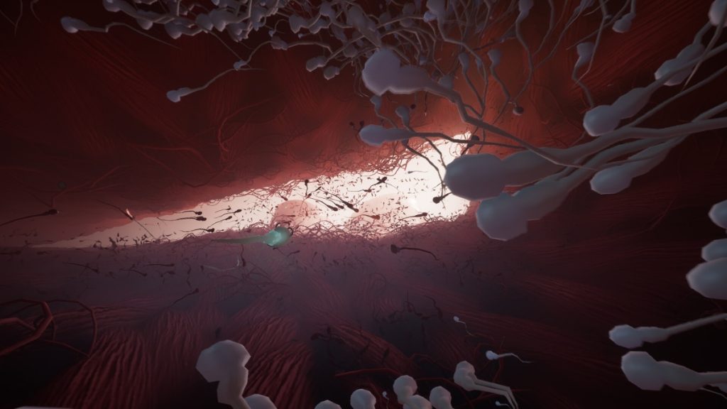 สเปิร์มสายซิ่ง! Become เกมอินดี้ไอเดียล้ำเตรียมเปิดศึกสร้างชีวิตปี 2026 1 การผจญภัยในเกม Become