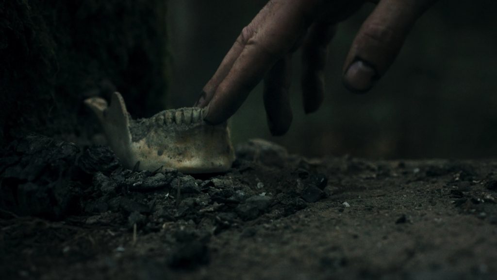 บรรยากาศในเกม Heart of the Forest