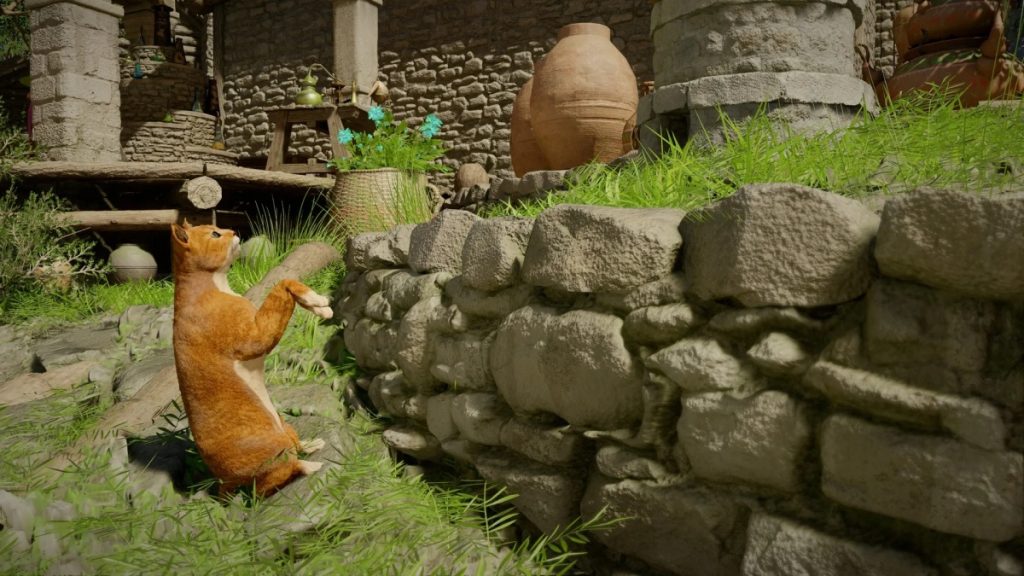 พีคสุด! หนุ่มโชว์คอลเลกชันแมวอ้วนใน Crimson Desert พร้อมใส่ชุดเกราะสุดเท่ 2 แมวส้มในเกม Crimson Desert